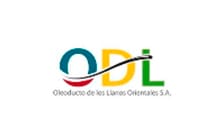 Cliente 81